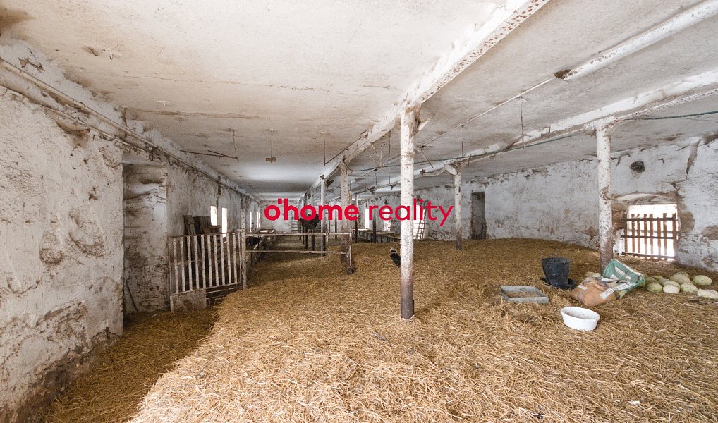 Prodej zemědělského objektu 21 579 m², Lichkov – náhled fotky 15