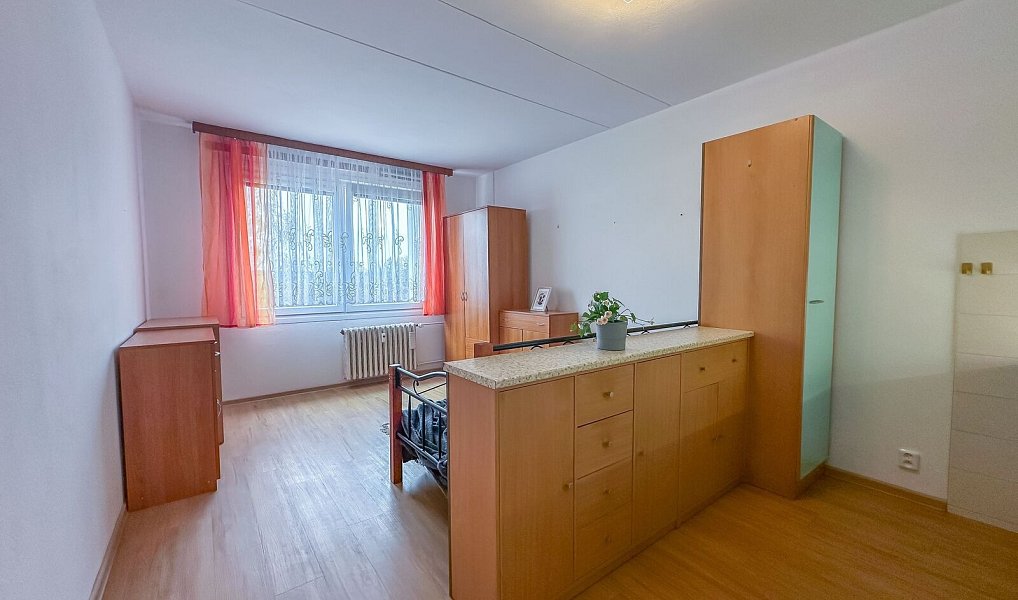 Pronájem bytu 1+kk 27 m², Horní Bříza – náhled fotky 5