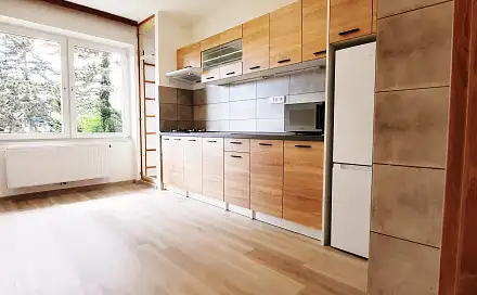 Pronájem bytu 4+1 95 m², Bohuslava Martinů, Brno - Stránice