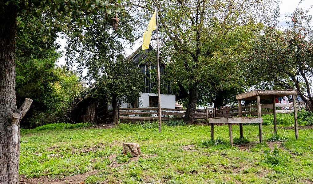Prodej domu 60 m² s pozemkem 13 269 m², Litíč – náhled fotky 12