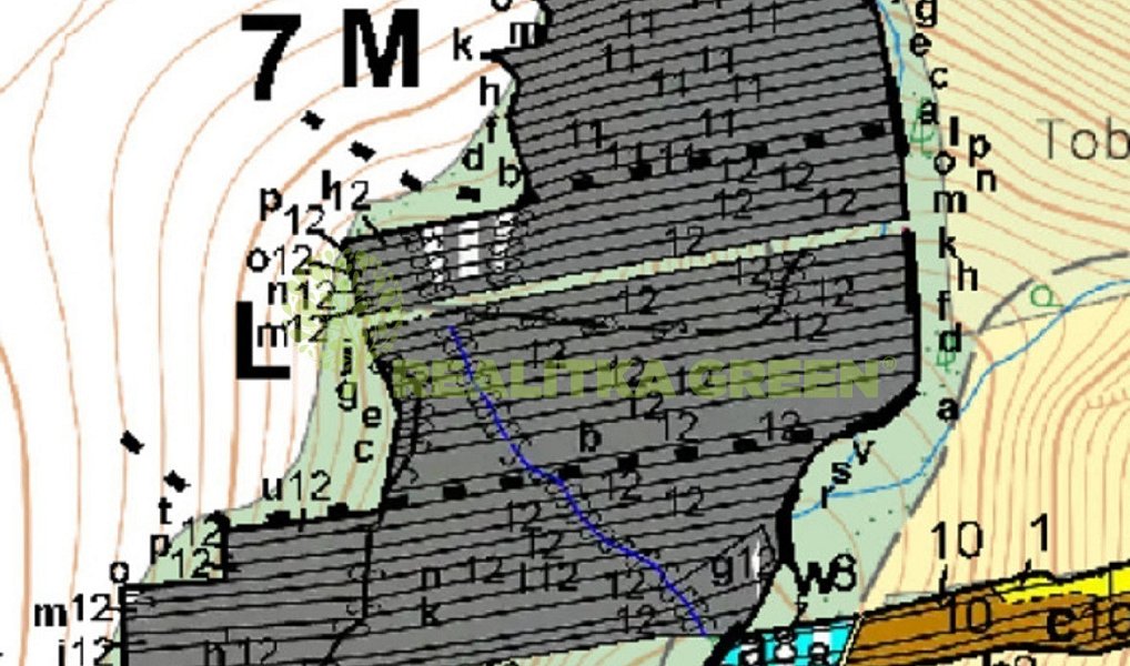 Prodej lesa 3 779 m², Popovice – náhled fotky 3