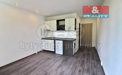 Prodej bytu 1+kk 18 m², Přemyslovců, Louny