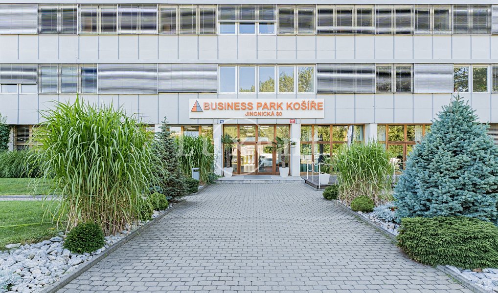 Pronájem kanceláře 257 m², Praha – náhled fotky 13