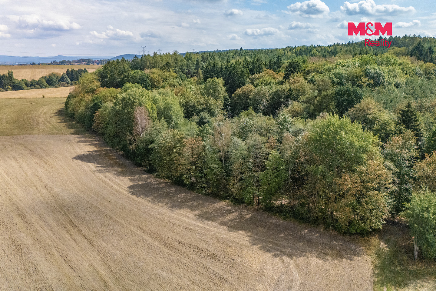 Prodej lesa 6 522 m² – fotografie 2