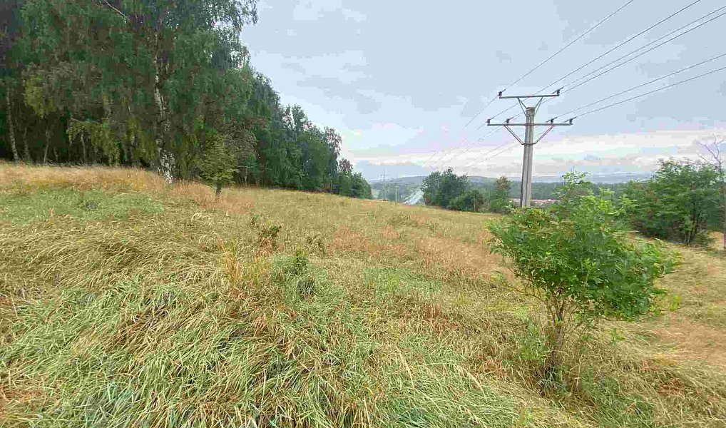 Prodej pole 49 321 m², Nové Sedlo – náhled fotky 5