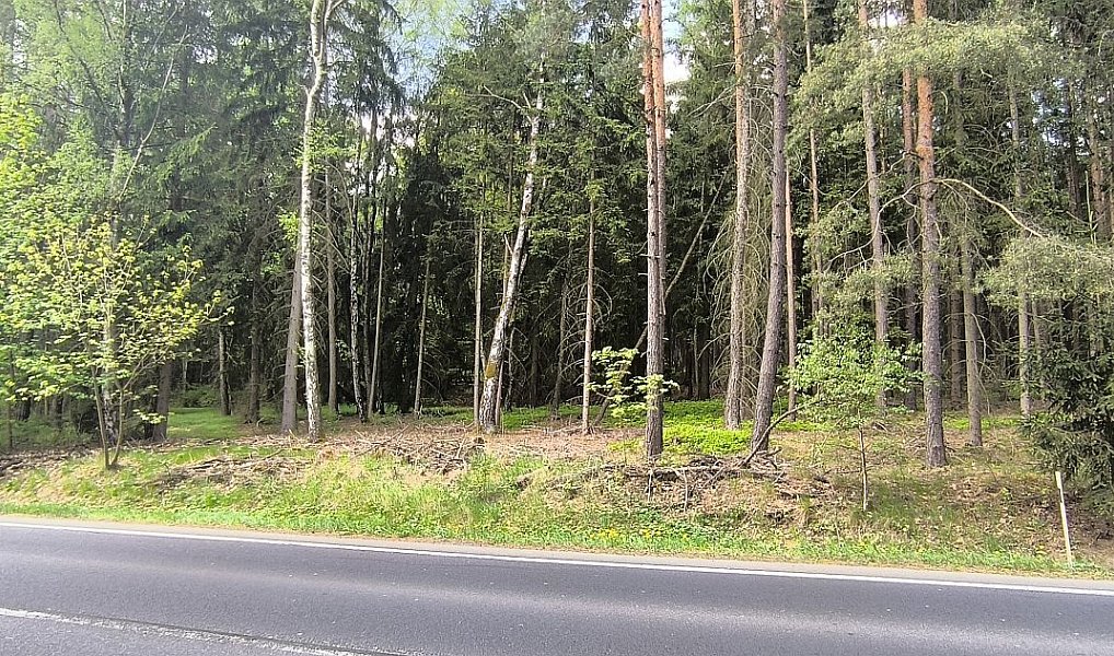 Prodej zahrady 840 m², Cheb – náhled fotky 5