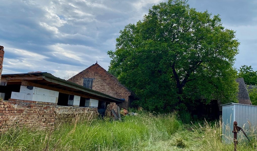 Prodej stavebního pozemku 2 018 m², Honětice – náhled fotky 8