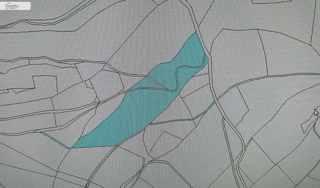 Prodej lesa 35 108 m², Pecka – náhled fotky 20