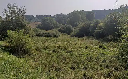 Prodej pole 34 244 m², Úterý, okres Plzeň-sever