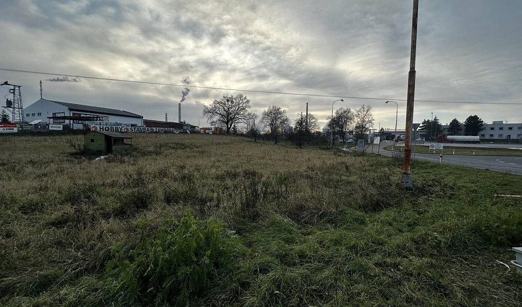 Prodej zahrady 4 381 m², Veltrusy – náhled fotky 9