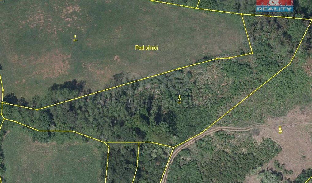 Prodej lesa 13 753 m², Úbislavice – náhled fotky 4