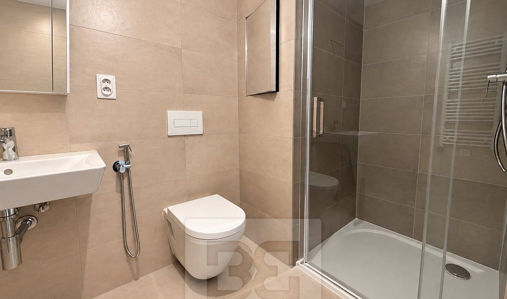 Pronájem bytu 1+kk 35 m², Brno – náhled fotky 11
