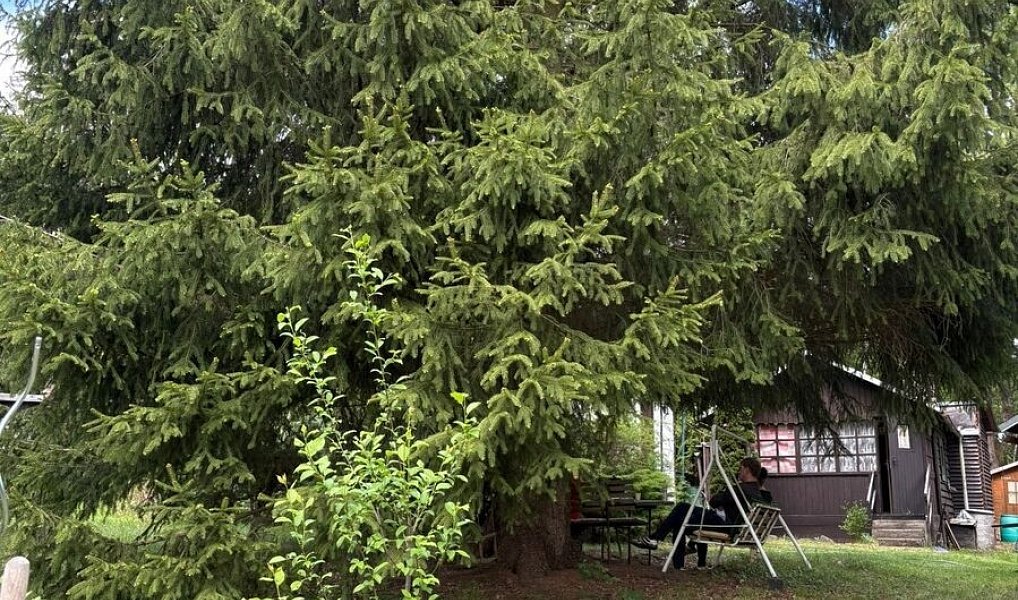 Prodej chaty/chalupy 25 m² s pozemkem 225 m², Kaliště – náhled fotky 11