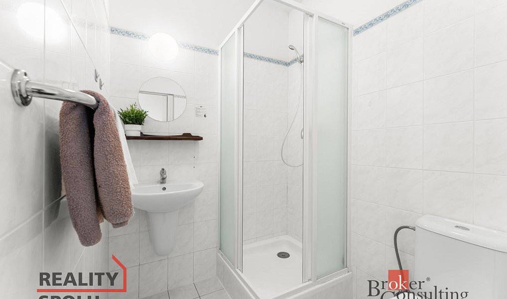 Prodej komerčního objektu (jiného typu) 2 619 m², Říčany – náhled fotky 26