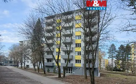 Prodej bytu 1+1 37 m², Dr. M. Horákové, Písek - Budějovické Předměstí