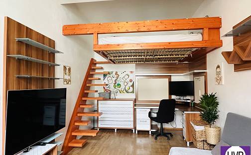 Pronájem bytu 1+1 40 m², Plachého, Plzeň - Jižní Předměstí