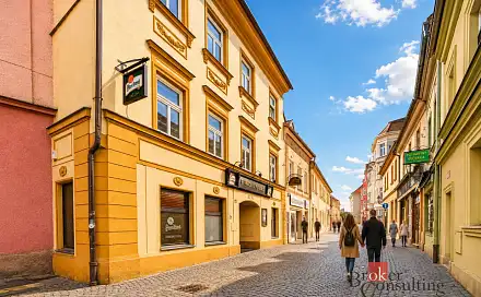 Prodej domu 499 m² s pozemkem 438 m², Novobranská, Litoměřice - Litoměřice-Město