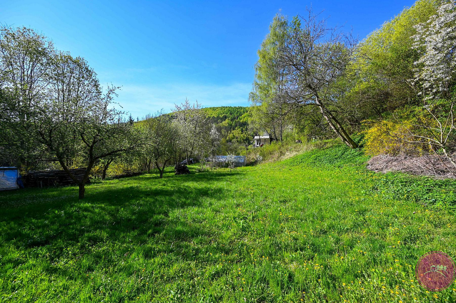 Prodej zahrady 2 114 m² – fotografie 5