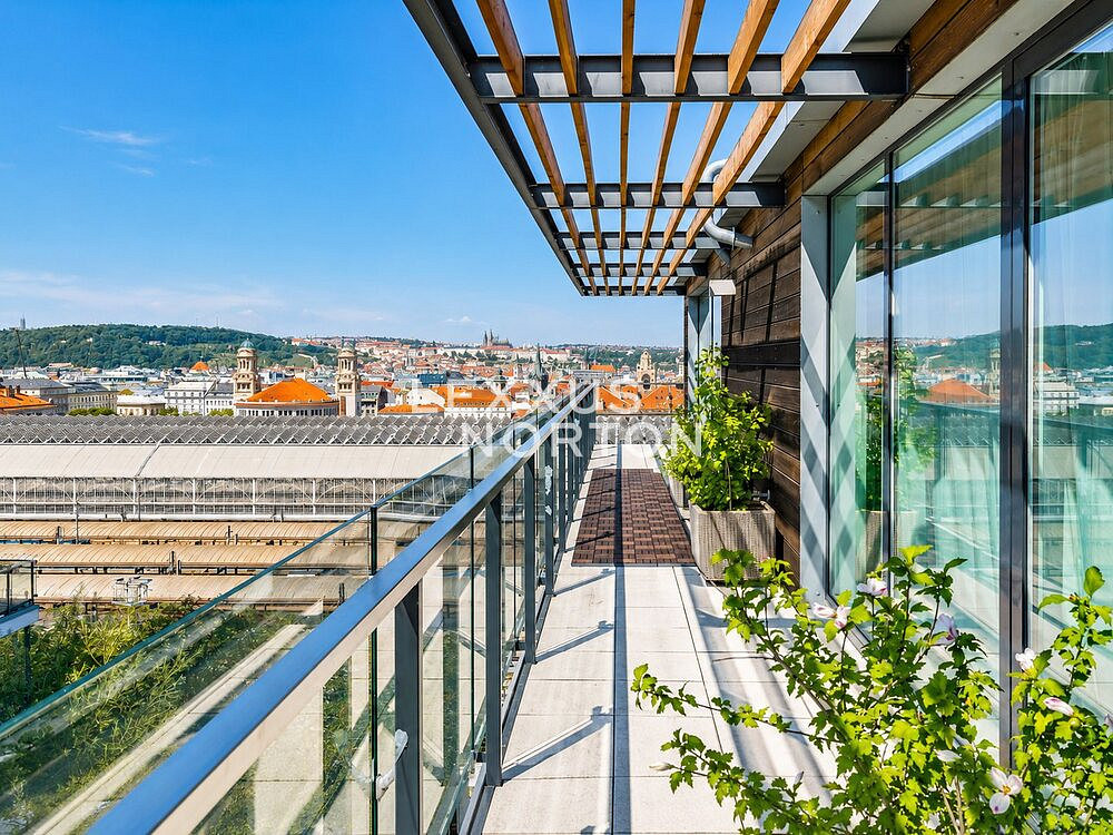 Pronájem bytu 5+kk 185 m² – fotografie 5