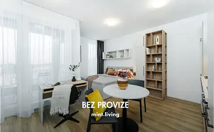 Pronájem bytu 1+kk 36 m²