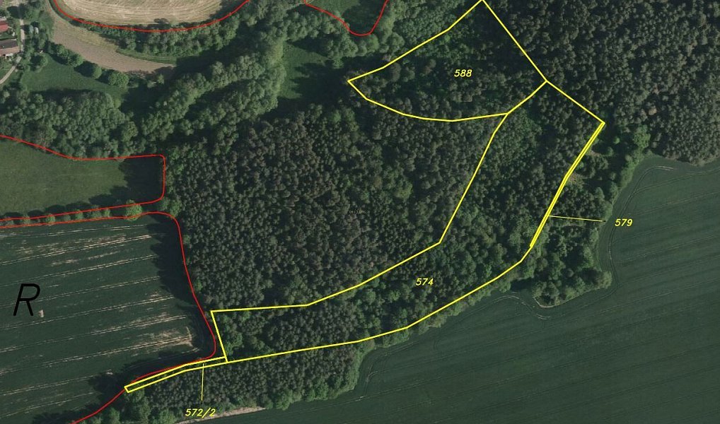 Prodej lesa 28 299 m², Křečovice – náhled fotky 5