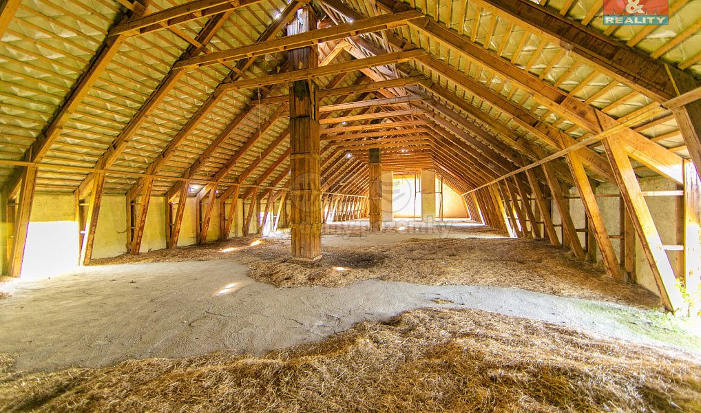 Prodej zemědělského objektu 4 026 m², Černovice – náhled fotky 19