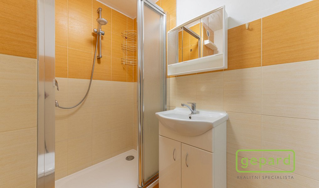 Pronájem bytu 1+1 35 m², Hazlov – náhled fotky 5