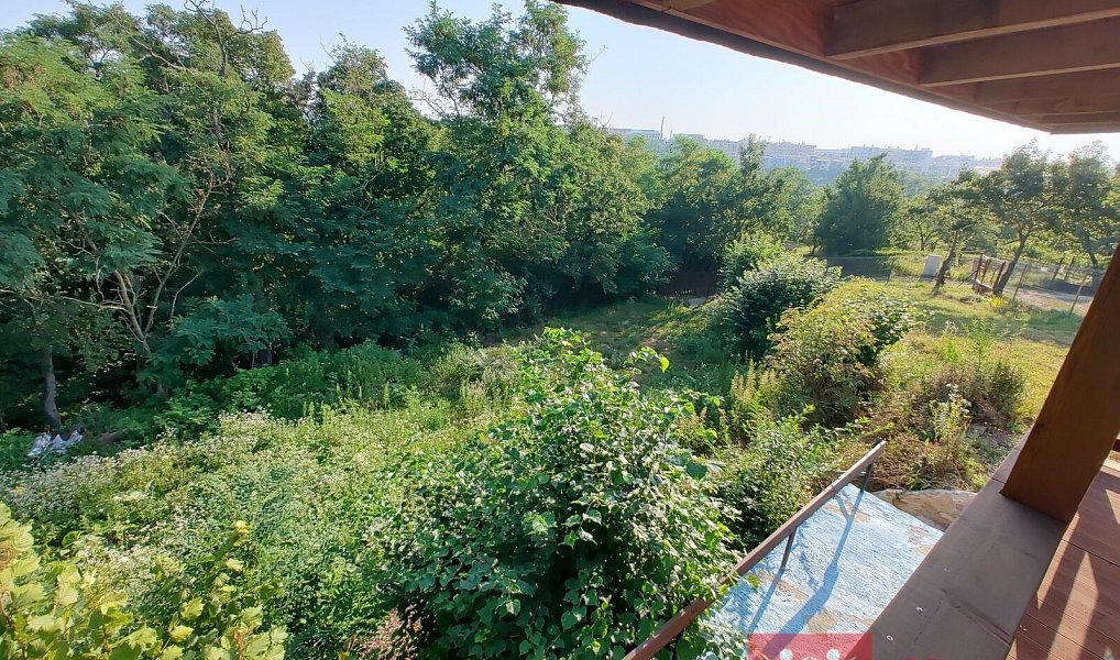 Prodej chaty/chalupy 16 m² s pozemkem 2 618 m², Nový Šaldorf-Sedlešovice – náhled fotky 14