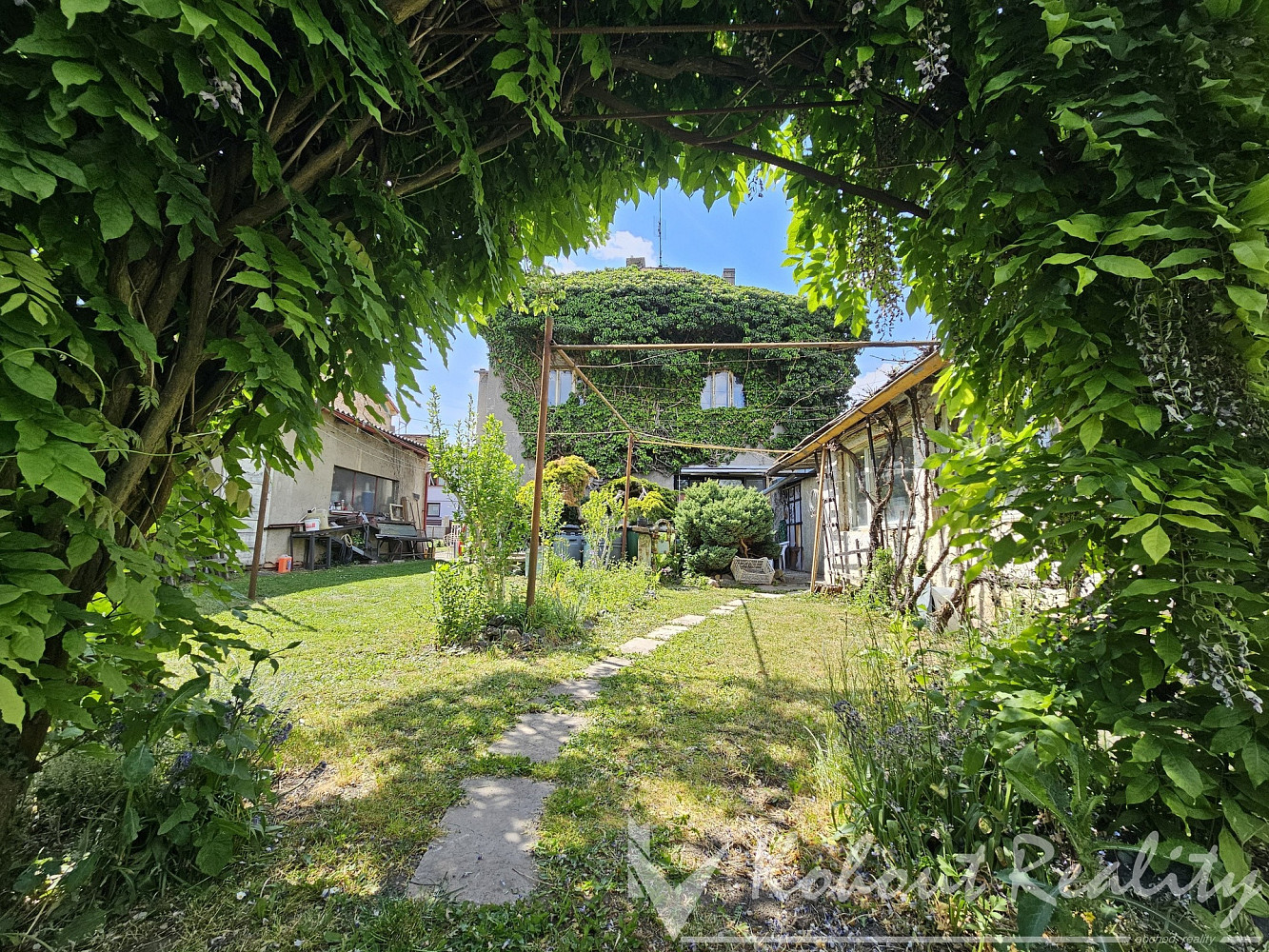 Fotka 20 z 24