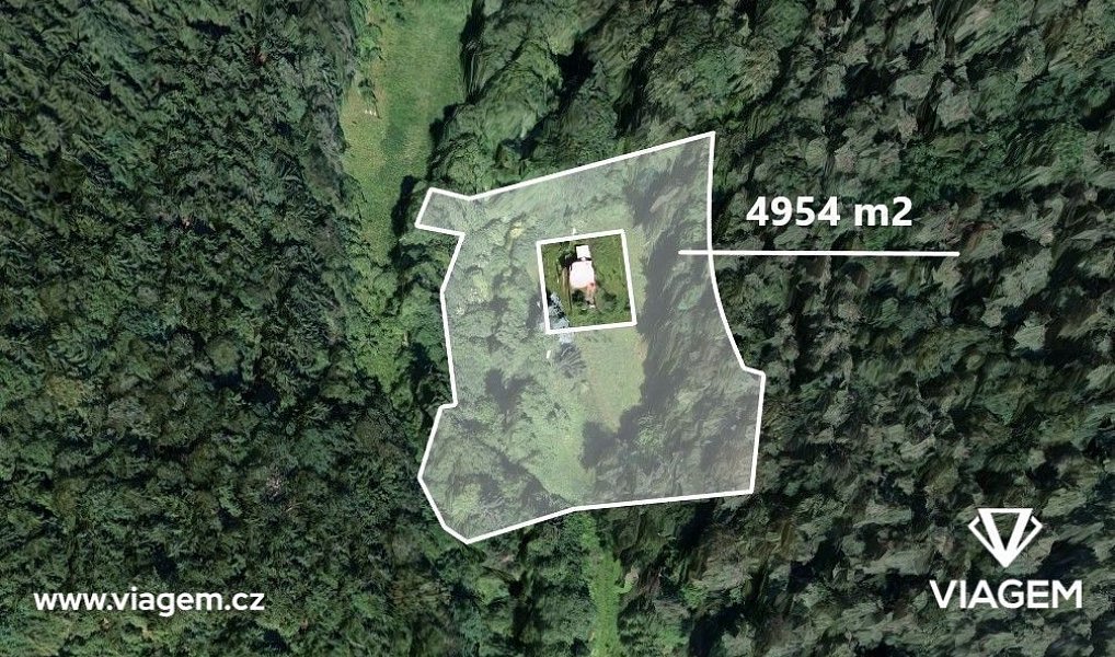 Prodej lesa 4 954 m², Všelibice – náhled fotky 4