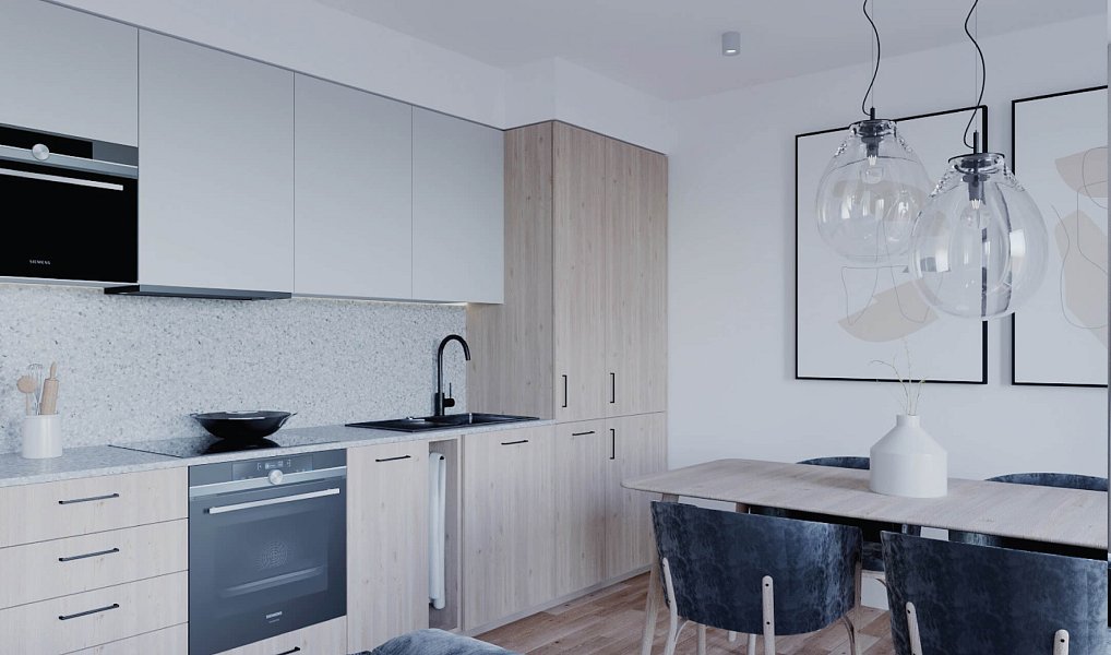 Prodej bytu 1+kk 40 m², Hanušovice – náhled fotky 10