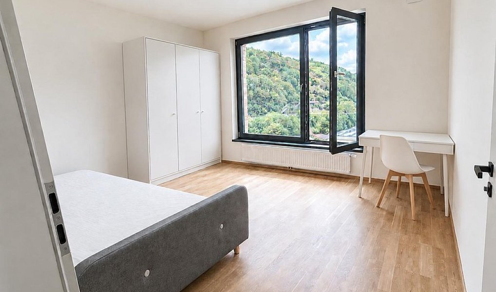 Pronájem bytu 2+kk 56 m², Praha – náhled fotky 5