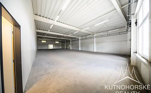Pronájem výrobních prostor 541 m², Havlíčkova, Kolín - Kolín IV