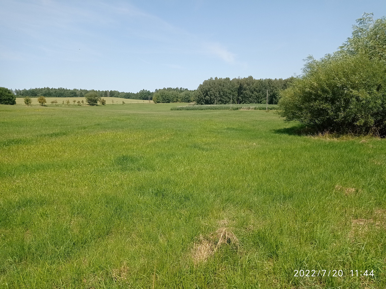 Prodej stavebního pozemku 13 356 m²