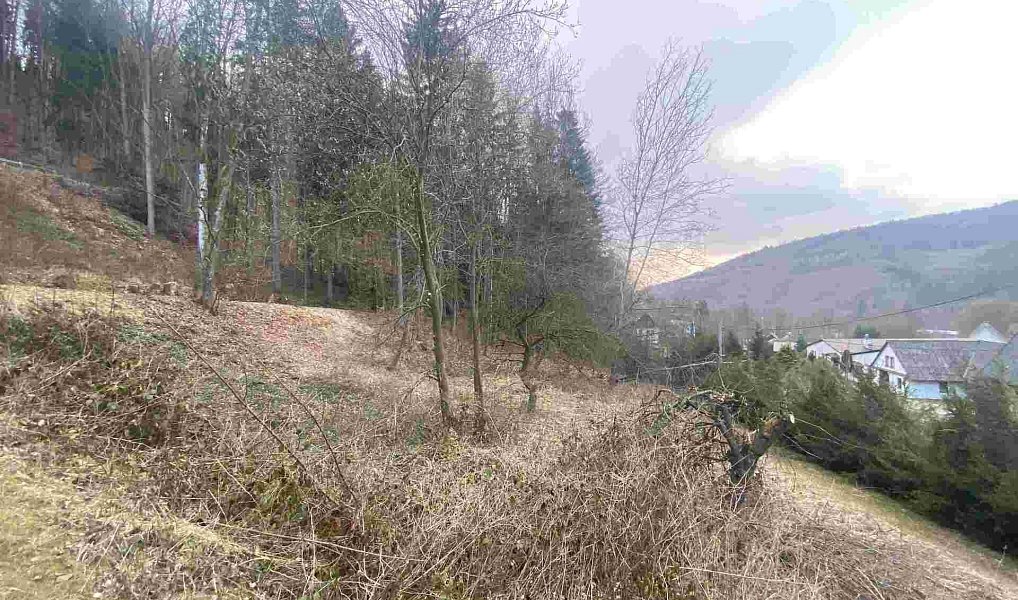 Prodej zahrady 903 m², Dolní Dobrouč – náhled fotky 2