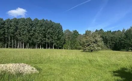 Prodej pozemku 37 713 m², Varnsdorf, okres Děčín