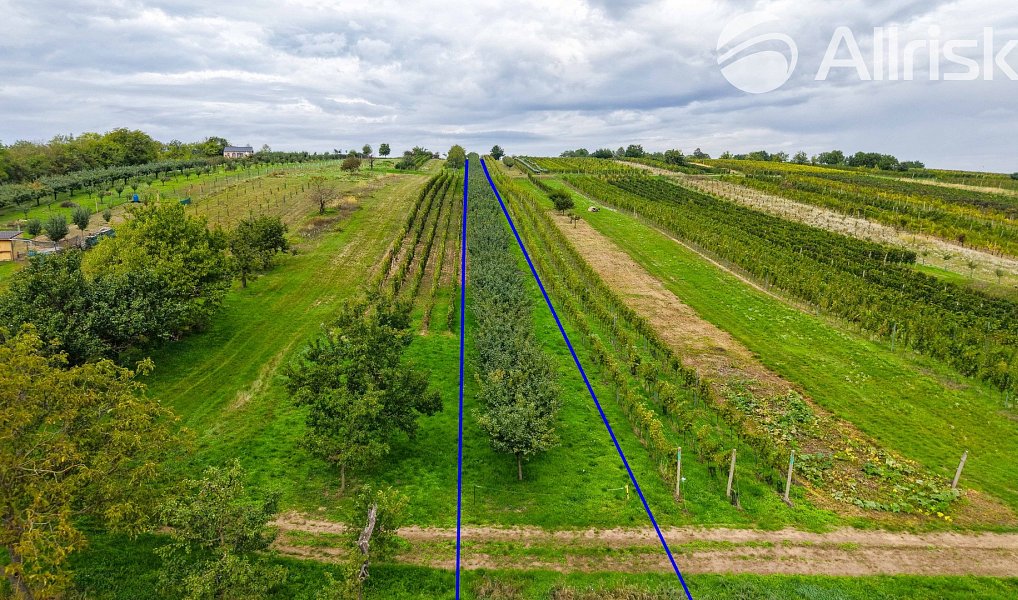 Prodej stavebního pozemku 1 865 m², Starý Poddvorov – náhled fotky 8