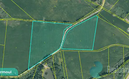 Prodej pozemku 12 559 m², Drmoul, okres Cheb