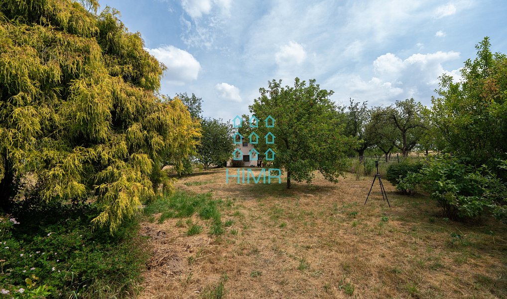 Prodej zahrady 2 885 m², Kostelec u Holešova – náhled fotky 15