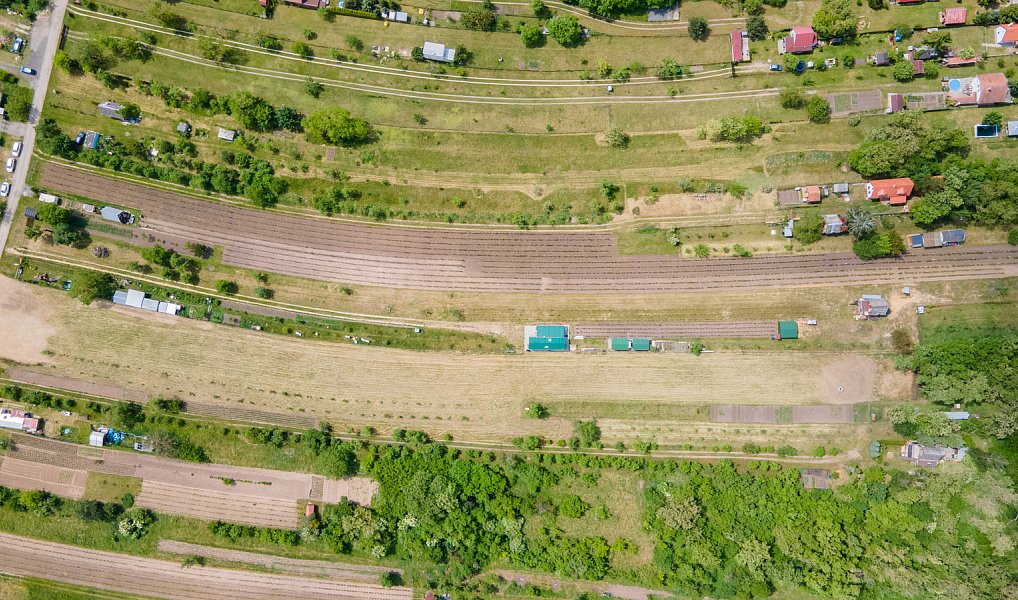 Prodej zahrady 433 m², Břeclav – náhled fotky 6