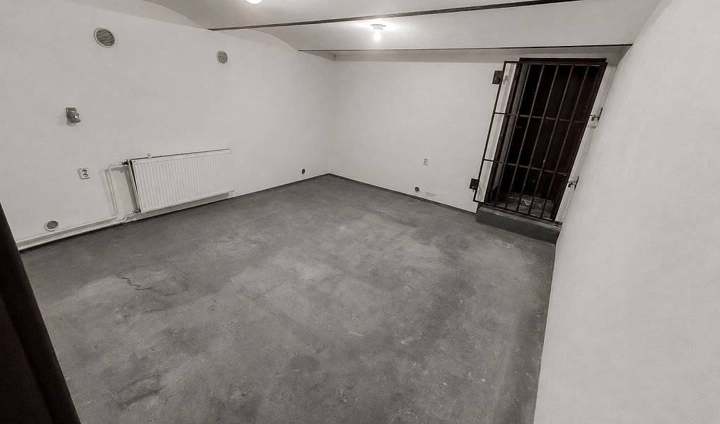 Prodej domu (jiného typu) 382 m² s pozemkem 259 m², Liberec – náhled fotky 11