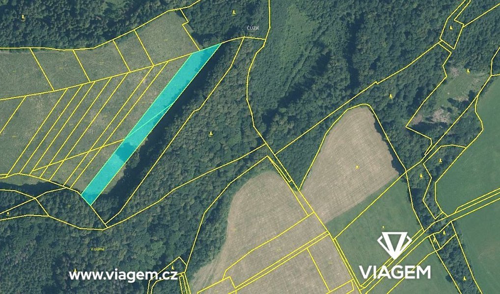 Prodej pole 1 872 m², Životice u Nového Jičína – náhled fotky 4