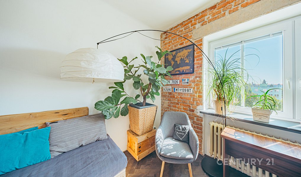 Pronájem bytu 2+1 61 m², Plzeň – náhled fotky 9