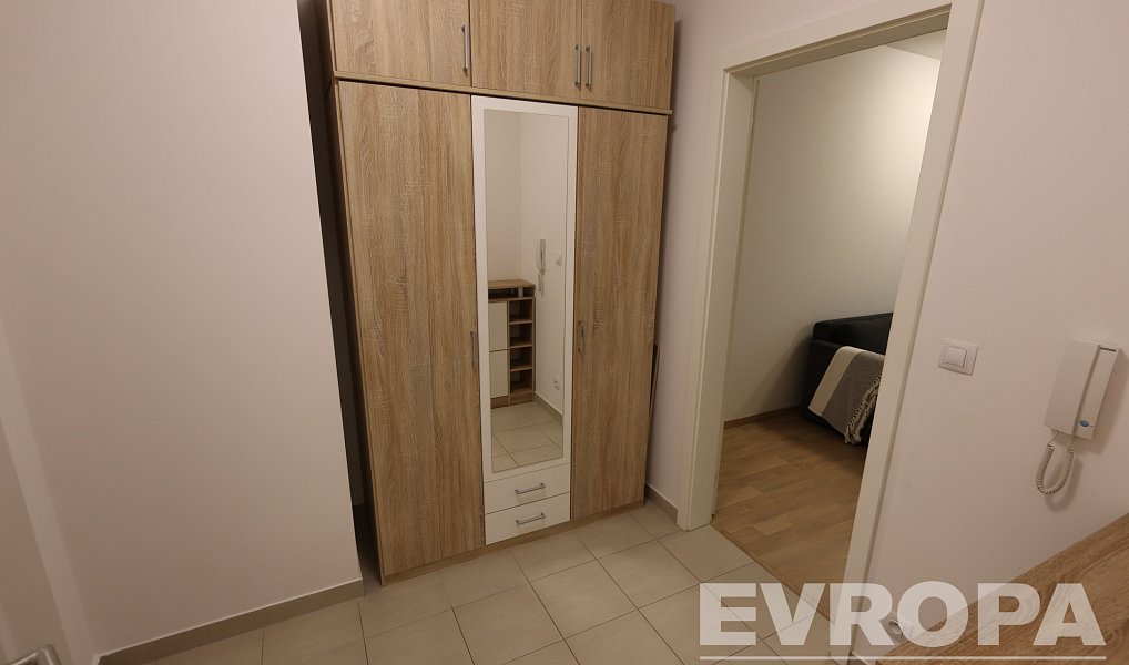 Pronájem bytu 1+kk 40 m², Praha – náhled fotky 9