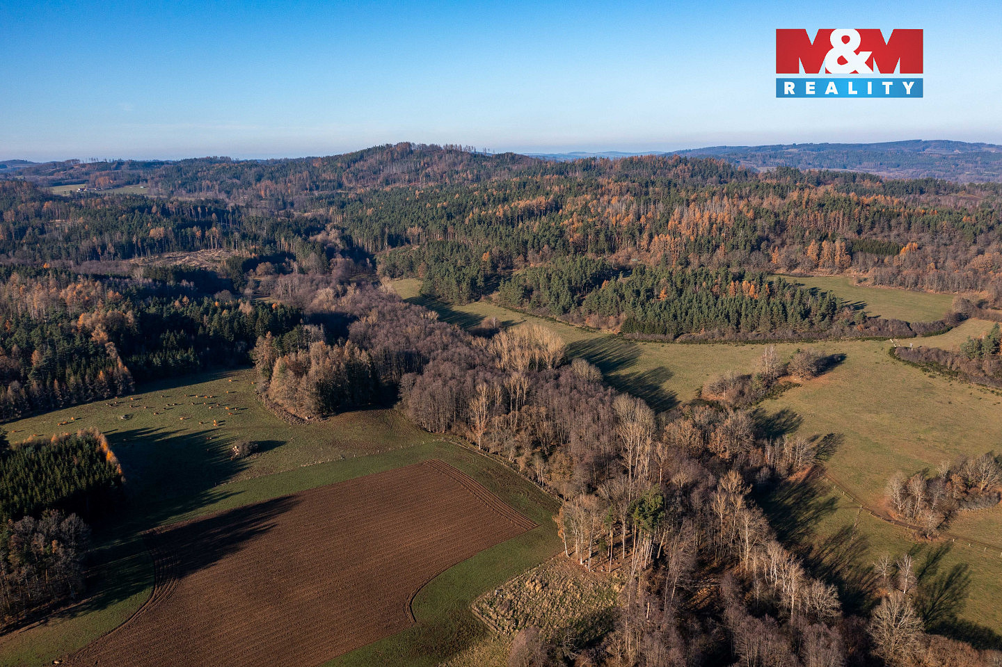 Prodej lesa 25 838 m² – fotografie 3