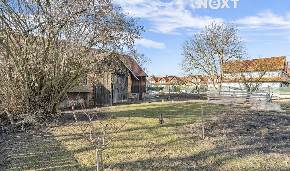 Prodej domu 190 m² s pozemkem 4 320 m², Kněžice – náhled fotky 14