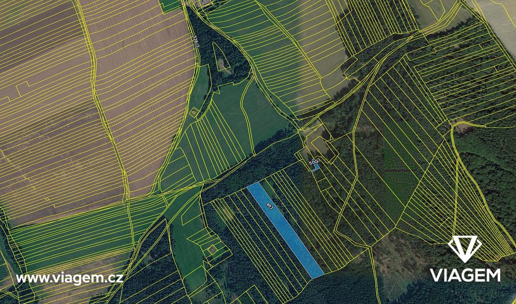 Prodej lesa 12 138 m², Hradiště – náhled fotky 4
