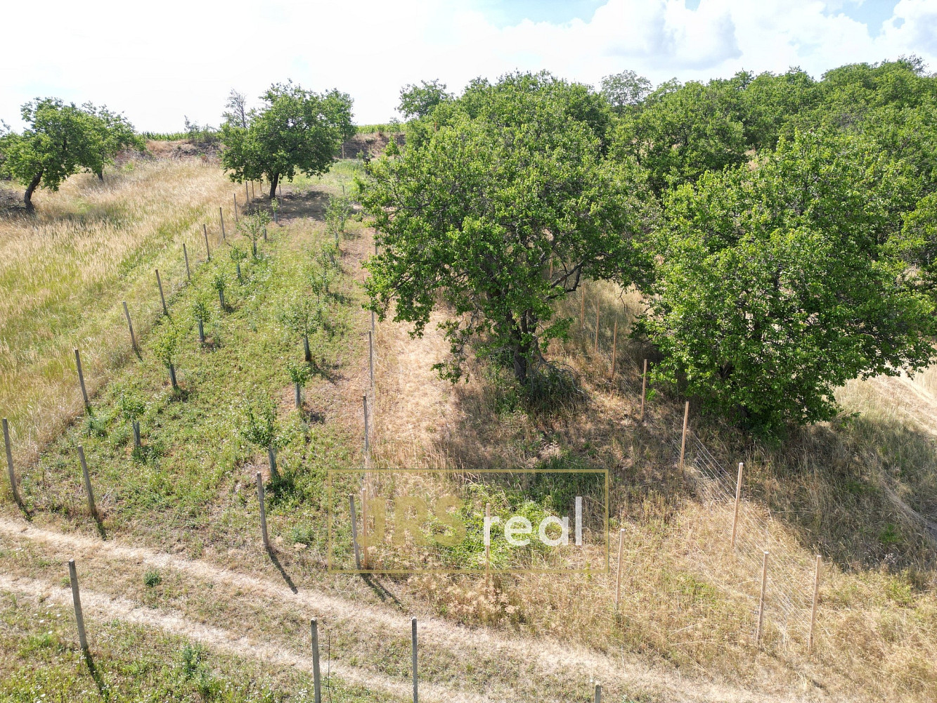 Prodej pole 358 m²