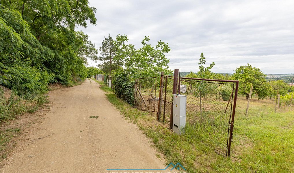 Prodej zahrady 1 078 m², Dobšice – náhled fotky 5