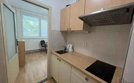 Pronájem bytu 1+1 14 m²